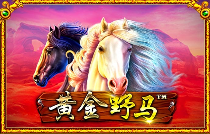 金年会体育app官方网站