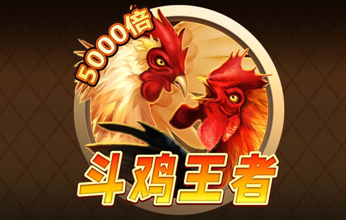 赛酷体育手机版