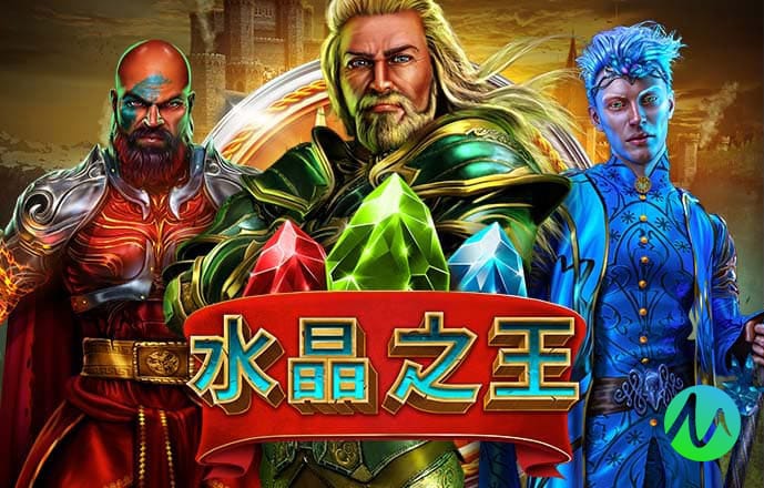 王中王资料大全枓大全正使用教程